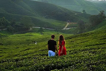 b2b travel agency in kerala, b2b travel agency in kochi