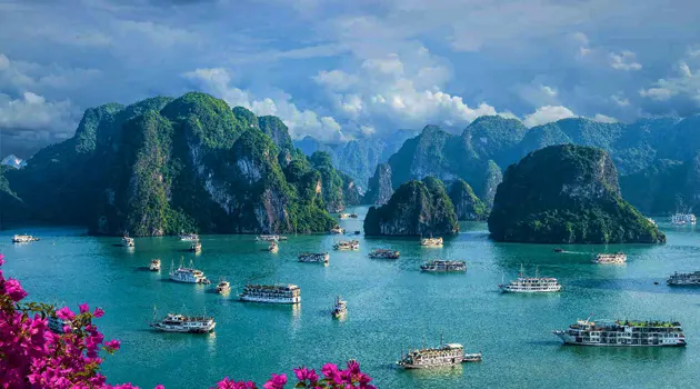 vietnam dmc from India, vietnam b2b dmc