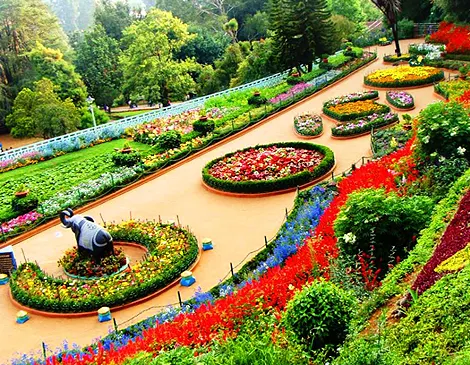 Ooty b2b trip packages, Ooty dmc