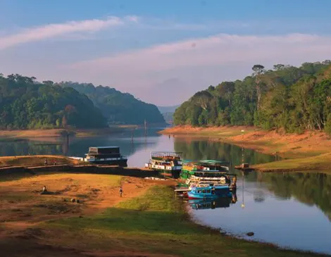 thekkady b2b trip packages, thekkady dmc